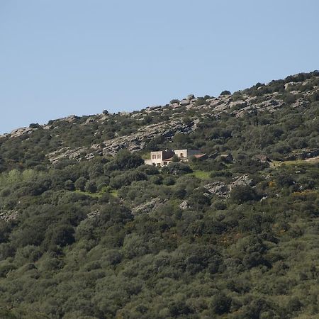 Campi Elisi B&B Sassari Luaran gambar