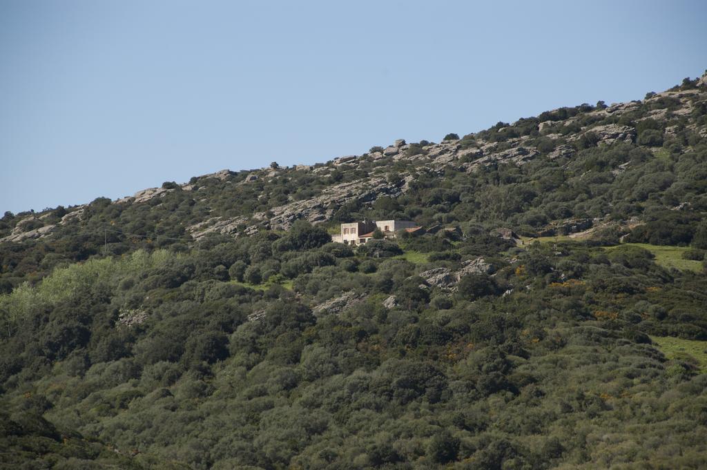 Campi Elisi B&B Sassari Luaran gambar